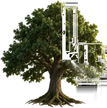 A full oak tree — tap the leaves, trunk, or roots to explore